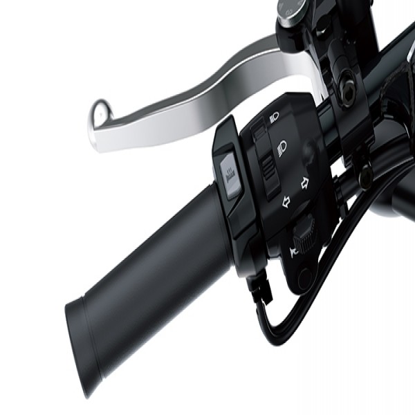 Kawasaki W800 GRIP HEATER